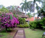 Bali Gardenia Resort - Garden